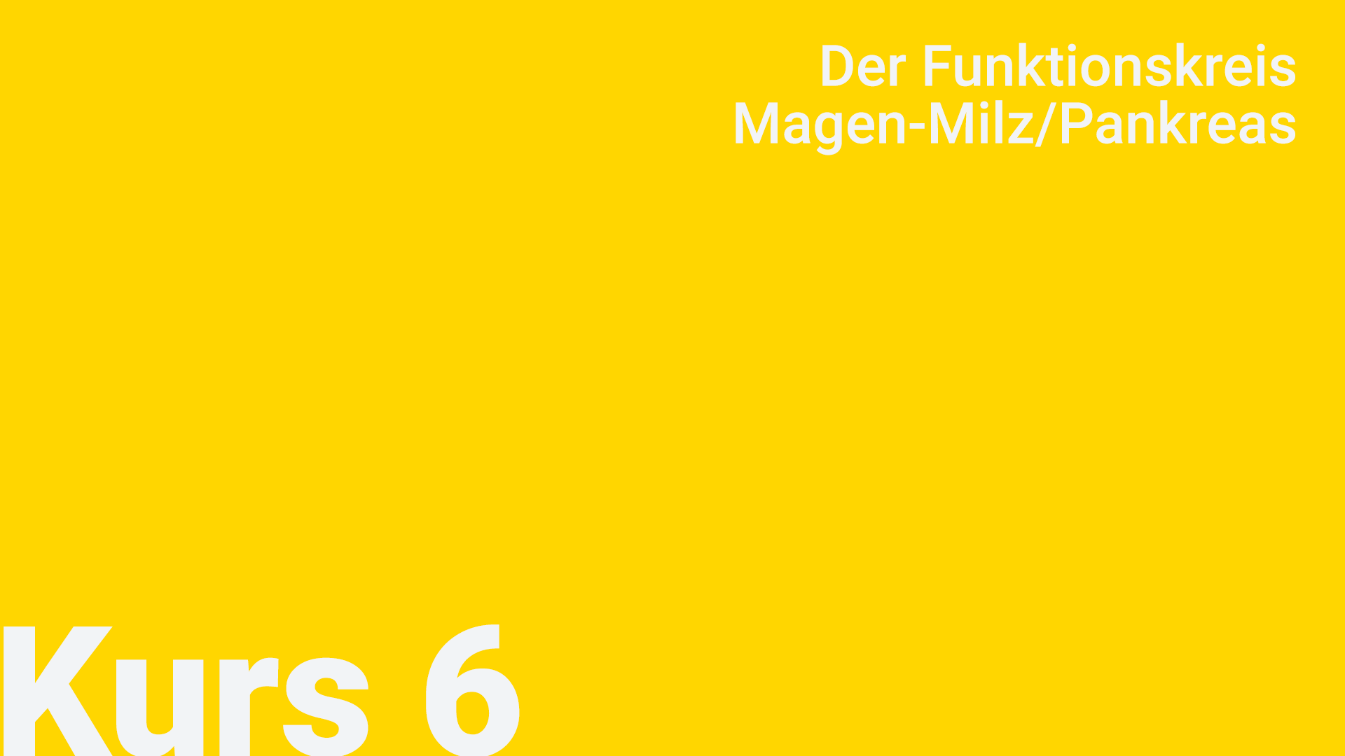  6. Der Funktionskreis Magen-Milz/Pankreas