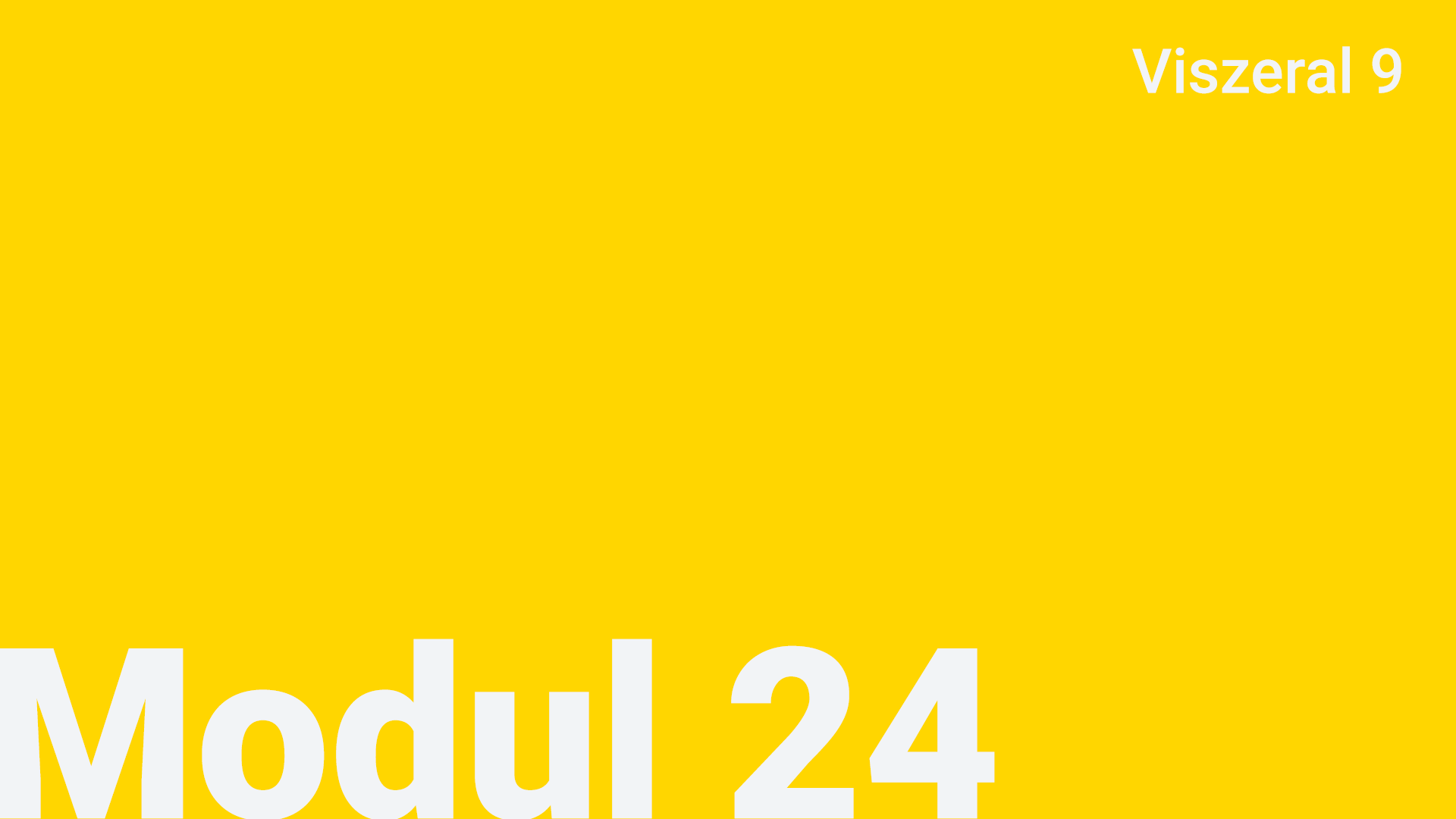 Modul 24 - Viszeral 9